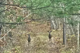 1894 S Lost Lake Rd, Danbury, WI 54830 - Photo 5