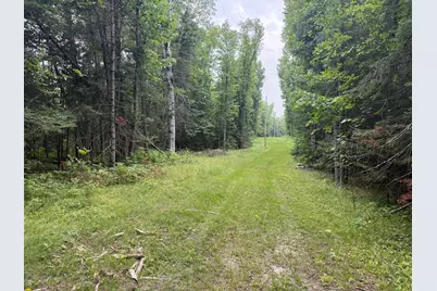 Tbd Cedar Point Road, Marcell, MN 56657 - Photo 3