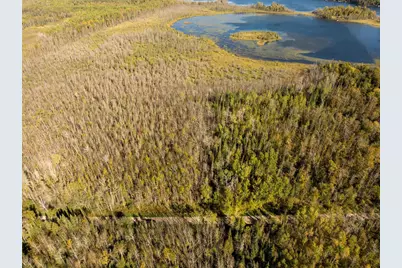 Tbd Cedar Point Road, Marcell, MN 56657 - Photo 5