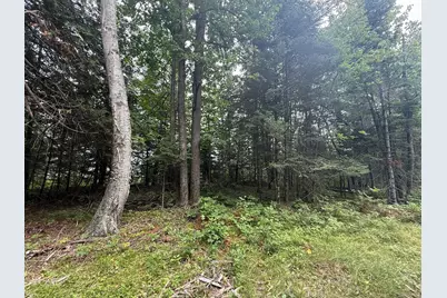 Tbd Cedar Point Rd, Marcell, MN 56657 - Photo 11