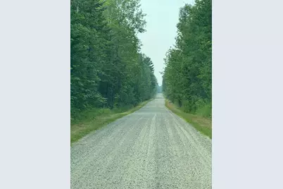 Tbd Cedar Point Rd, Marcell, MN 56657 - Photo 29