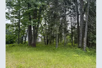 Tbd Cedar Point Rd, Marcell, MN 56657 - Photo 3
