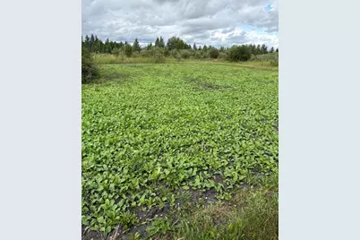 51339 350th Street, Salol, MN 56756 - Photo 31