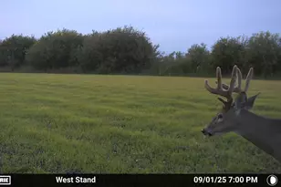 51339 350th St, Salol, MN 56756 - Photo 25