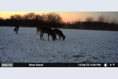 51339 350th Street, Salol, MN 56756 - Photo 27