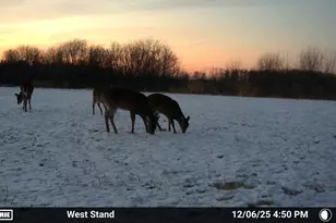 51339 350th St, Salol, MN 56756 - Photo 27