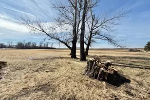 19214 County Rd 4, Elbow Lake, MN 56531 - Photo 55