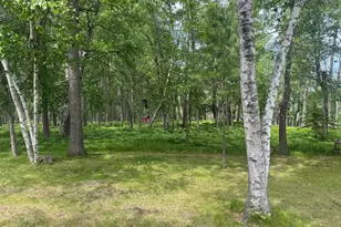 1707 Crosby Ct SE, Bemidji, MN 56601 - Photo 23