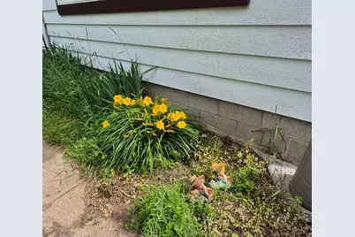 115 Keiper Drive, Minnesota City, MN 55959 - Photo 29