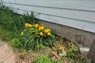 115 Keiper Dr, Minnesota City, MN 55959 - Photo 29