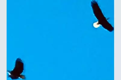 314 W Iowa Street, Lake City, MN 55041 - Photo 59