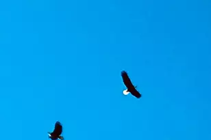 314 W Iowa St, Lake City, MN 55041 - Photo 59