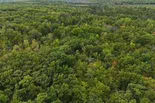 57919 Hay Creek Rd, Sandstone, MN 55072 - Photo 33