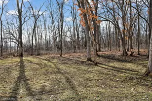 245 Dwinnell Ave, Mahtomedi, MN 55115 - Photo 49