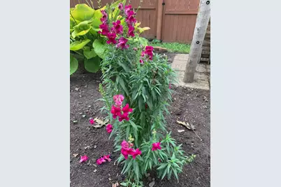 810 5th Street W, Hastings, MN 55033 - Photo 33