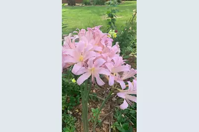 810 5th Street W, Hastings, MN 55033 - Photo 35