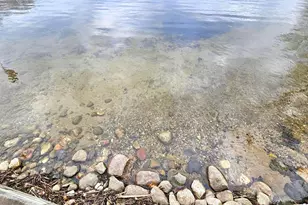 43801 Sylvia Valley Rd, Melrose, MN 56352 - Photo 11