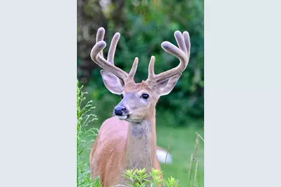 3710 60th Avenue SW, Rochester, MN 55902 - Photo 11