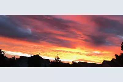 513 Cannon Way, Dundas, MN 55019 - Photo 43