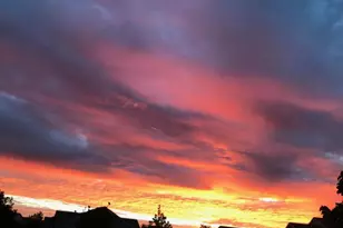 513 Cannon Way, Dundas, MN 55019 - Photo 43