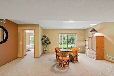 556 Marsh Drive, Delano, MN 55328 - Photo 31