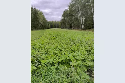 8640 State Highway 11 SE, Baudette, MN 56623 - Photo 39