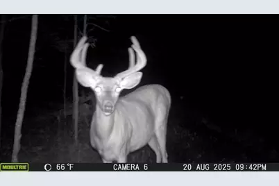 8640 State Highway 11 SE, Baudette, MN 56623 - Photo 41