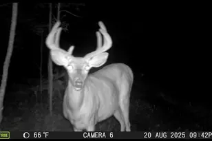 8640 State Hwy 11 SE, Baudette, MN 56623 - Photo 41