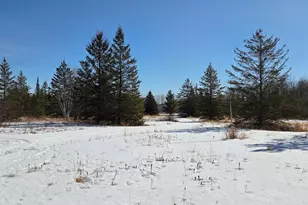 8640 State Hwy 11 SE, Baudette, MN 56623 - Photo 37