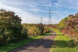 411 Dorland Pl, Maplewood, MN 55119 - Photo 63