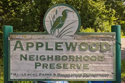 411 Dorland Place, Maplewood, MN 55119 - Photo 53