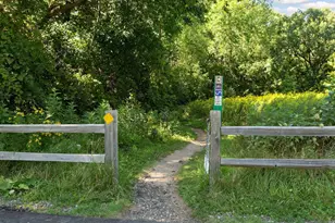 411 Dorland Pl, Maplewood, MN 55119 - Photo 77