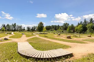 411 Dorland Pl, Maplewood, MN 55119 - Photo 67