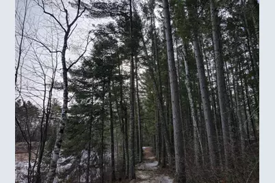 Tbd Prairie Lake Drive, Grand Rapids, MN 55744 - Photo 25