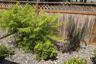 420 Village Ct, Cambridge, MN 55008 - Photo 49