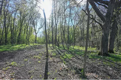 11115 350th Avenue, Farwell, MN 56327 - Photo 5