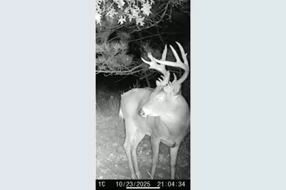 Tbd Variolite St NW, Princeton, MN 55371 - Photo 3