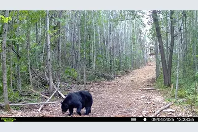 2515 Highway 23, Wrenshall, MN 55797 - Photo 13