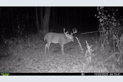 2515 Highway 23, Wrenshall, MN 55797 - Photo 11