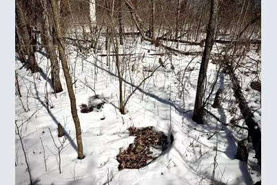 Tbd-17.64Ac 313th Avenue NW, Cambridge, MN 55008 - Photo 17