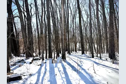 Tbd-17.64Ac 313th Avenue NW, Cambridge, MN 55008 - Photo 13