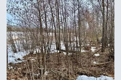 Lot 4 Blk 1 216th Place, McGregor, MN 55760 - Photo 9