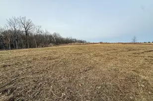 11719 Ridgeview Rd, Hokah, MN 55941 - Photo 87