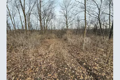 11719 Ridgeview Road, Hokah, MN 55941 - Photo 63