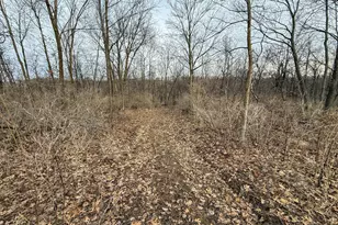 11719 Ridgeview Rd, Hokah, MN 55941 - Photo 63