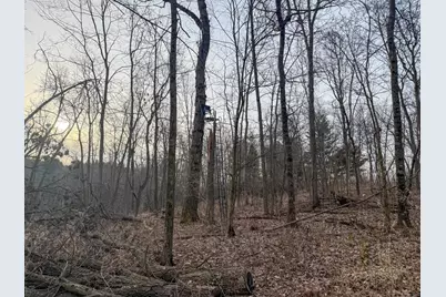 11719 Ridgeview Road, Hokah, MN 55941 - Photo 69