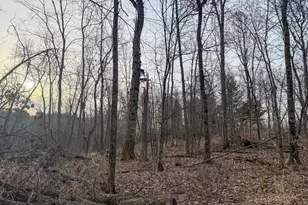 11719 Ridgeview Rd, Hokah, MN 55941 - Photo 69