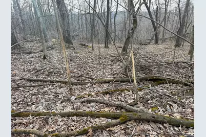 11719 Ridgeview Road, Hokah, MN 55941 - Photo 81