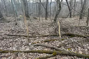 11719 Ridgeview Rd, Hokah, MN 55941 - Photo 81