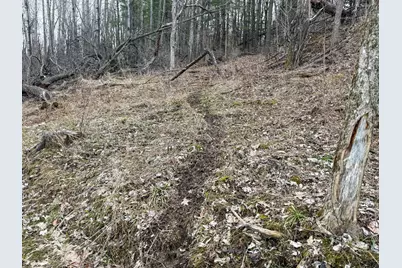 11719 Ridgeview Road, Hokah, MN 55941 - Photo 75